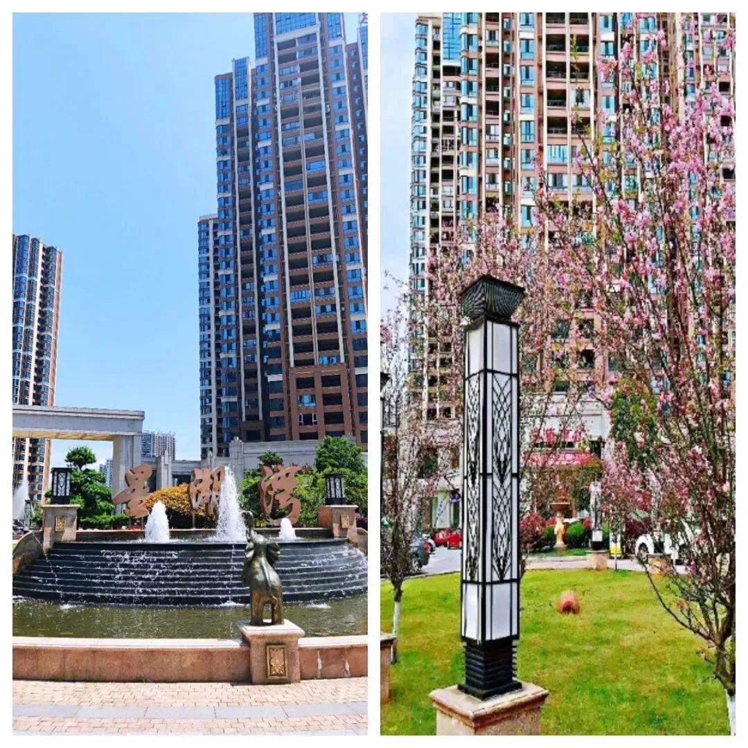 郴州星湖湾最新动态，城市发展的璀璨明珠持续引领风潮