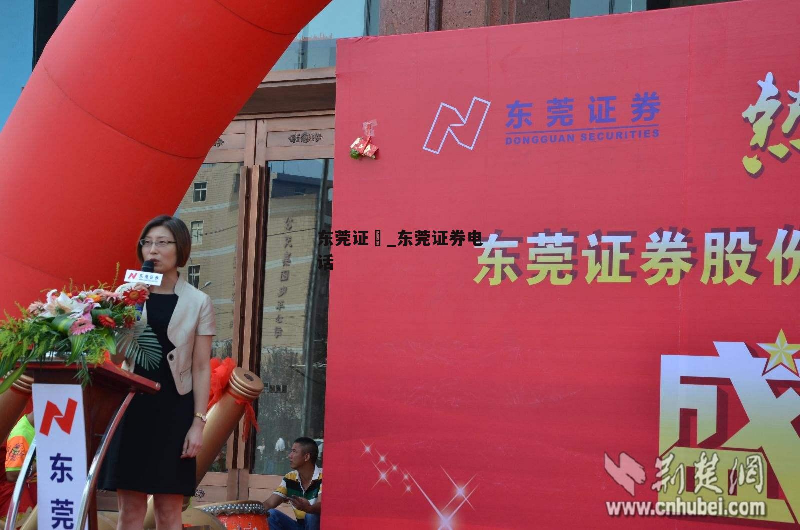 东莞证券上市最新进展详解，逐步解析上市流程的最新动态