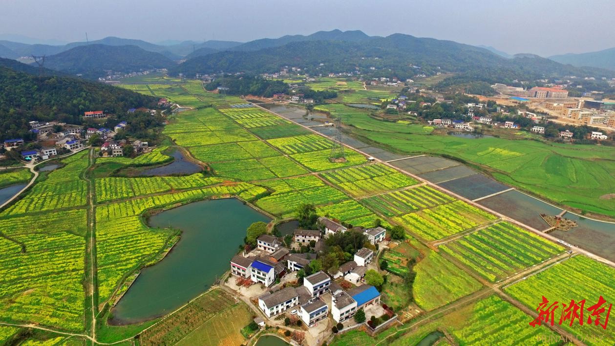 岳麓区莲花镇最新动态速递📣