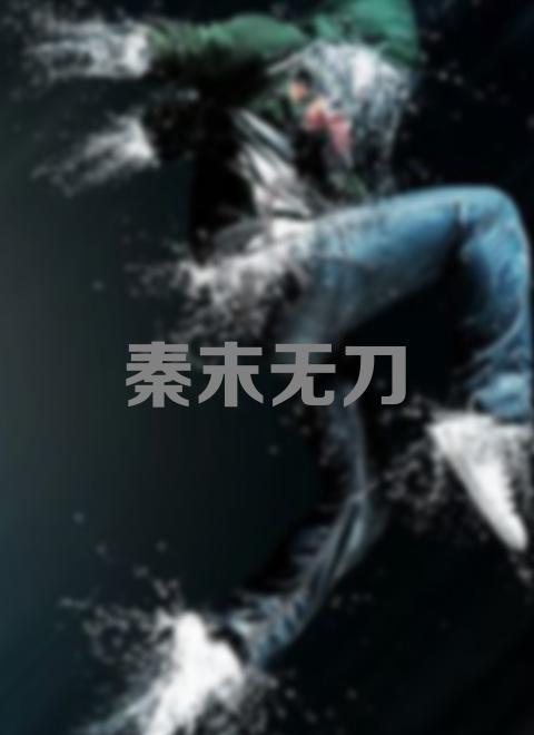 秦末无刀电影，制作与欣赏的全方位指南