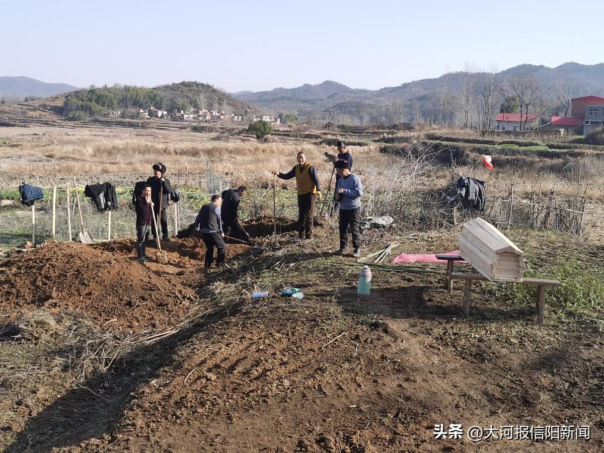 左岸春风新版揭晓，诗意盎然，全新呈现！