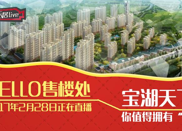 宝湖天下最新房价揭秘，小巷风情与隐藏宝藏探索