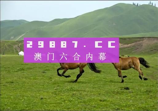 ＂2025今晚澳门跑狗图＂的：实地观察解释定义_高效版7.57