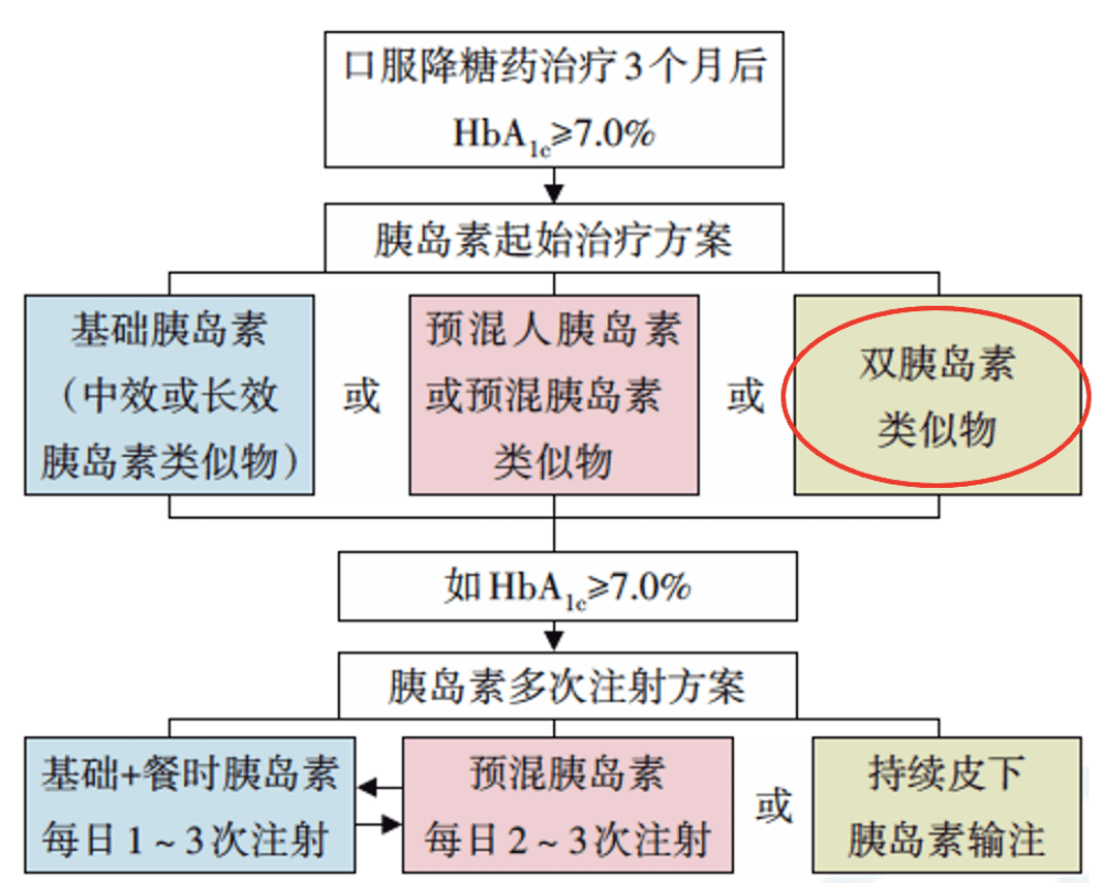 英语新词速写指南，轻松掌握新词汇，驾驭英语沟通！