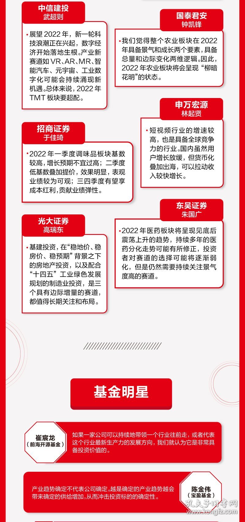 最新投资策略指南，构建稳健投资组合的详细步骤