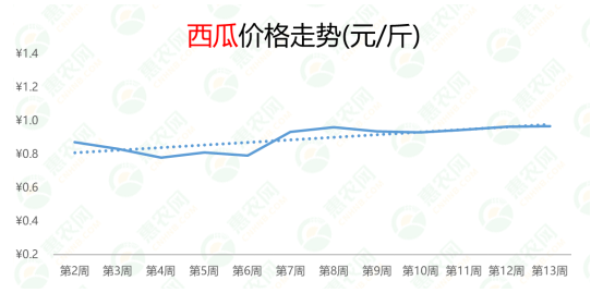 最新西瓜价格动态，市场走势分析与预测