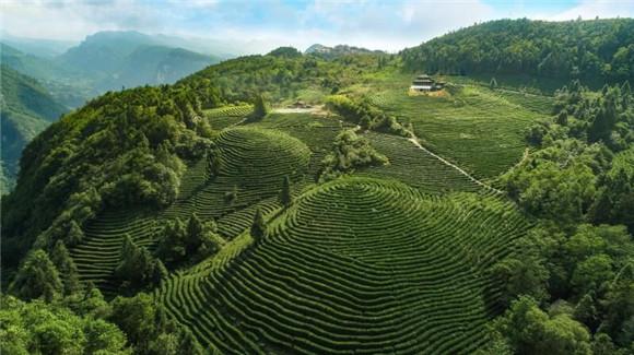 武隆白马山最新动态速递