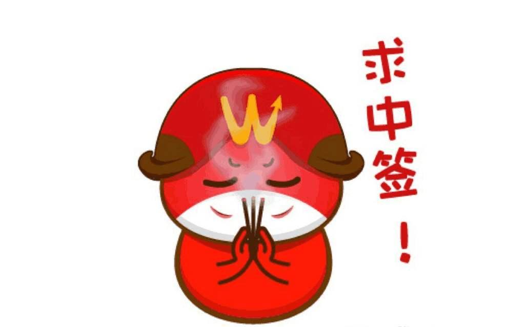 最新新债申购解析，深入探讨与某某观点阐述