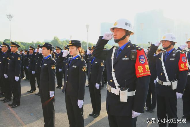 最新综合行政执法，多维度探讨与展望