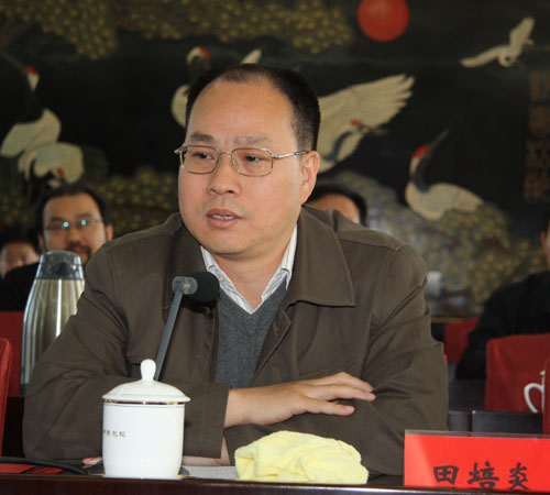 田培炎最新动态与研究成果深度探讨