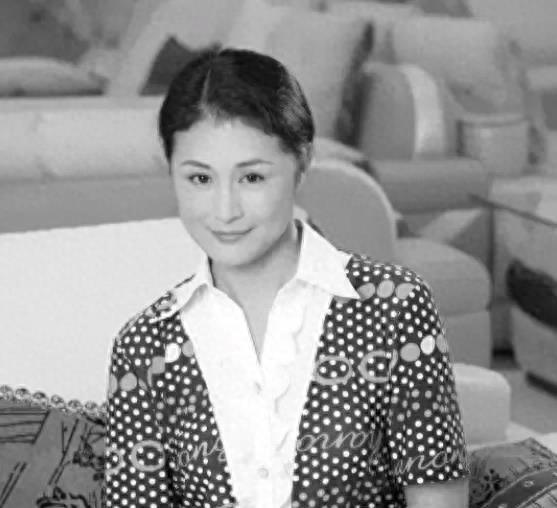 乡村爱情演员最新动态，回溯过去，前瞻未来